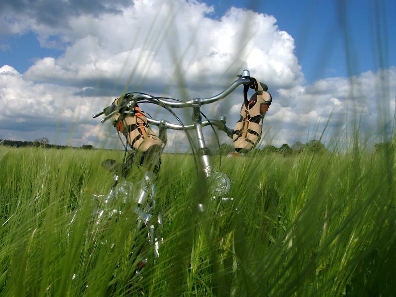 Radtouren Radreisen in Mecklenburg - radeln mit radreisen-mecklenburg